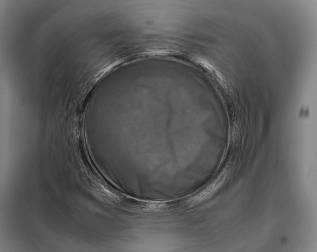 X0000097921353200804041514