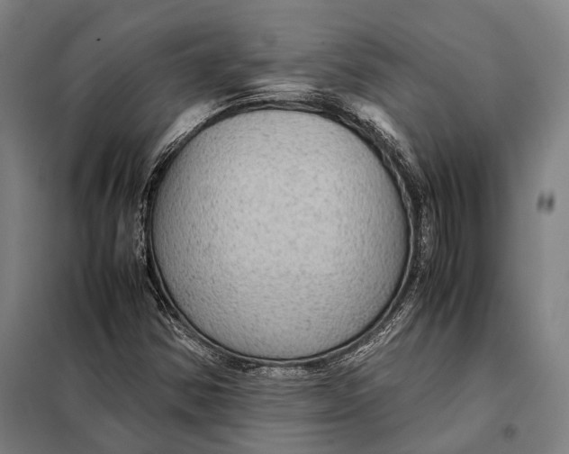 X0000097921354200804041514