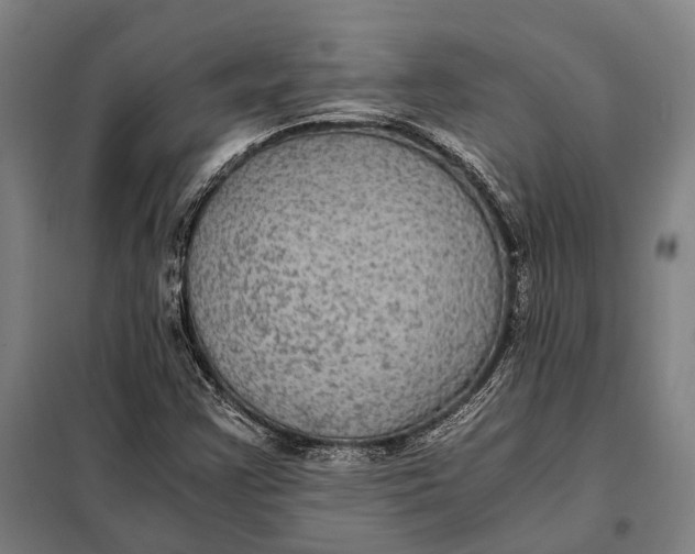 X0000097921355200804041514