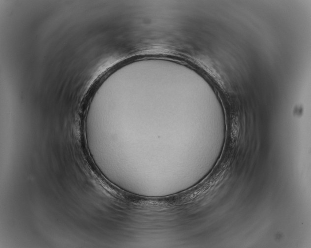 X0000097921356200804041514