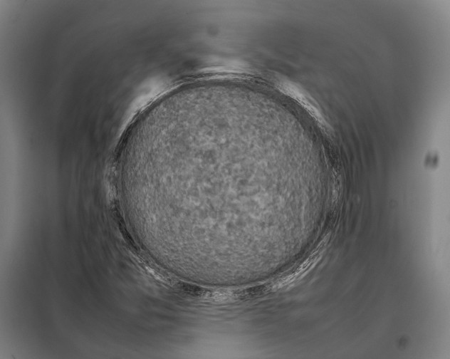 X0000097921357200804041514