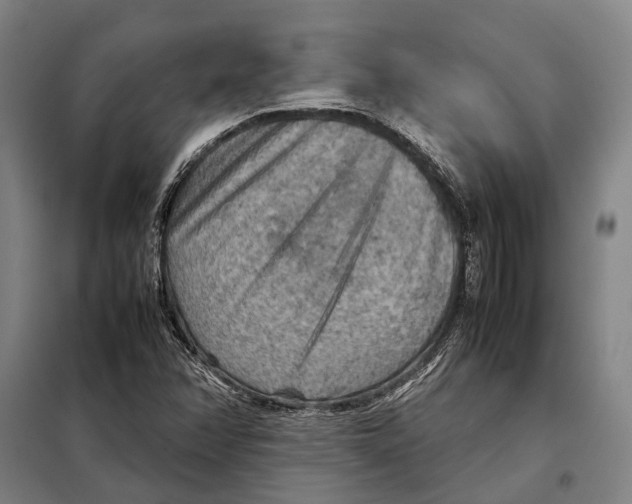 X0000097921358200804041514