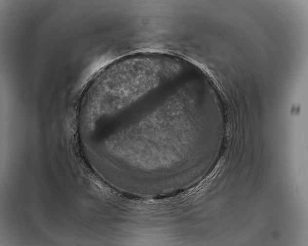 X0000097921359200804041514