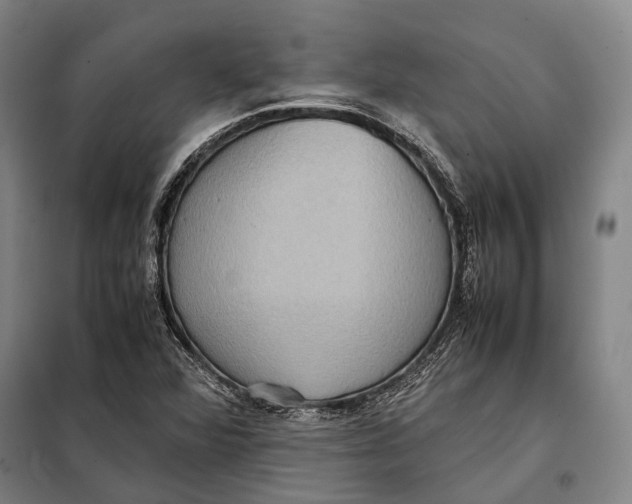 X0000097921360200804041514