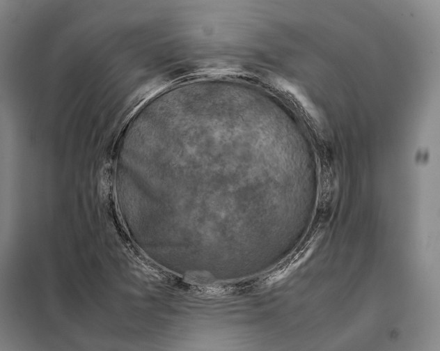 X0000097921361200804041514