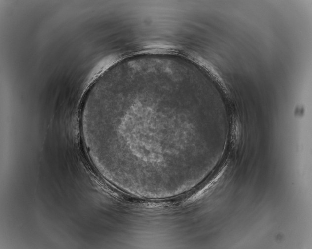 X0000097921362200804041514