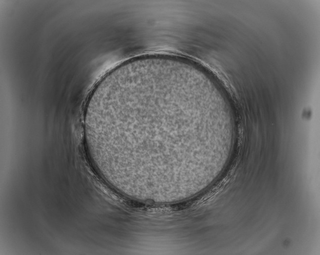 X0000097921363200804041514