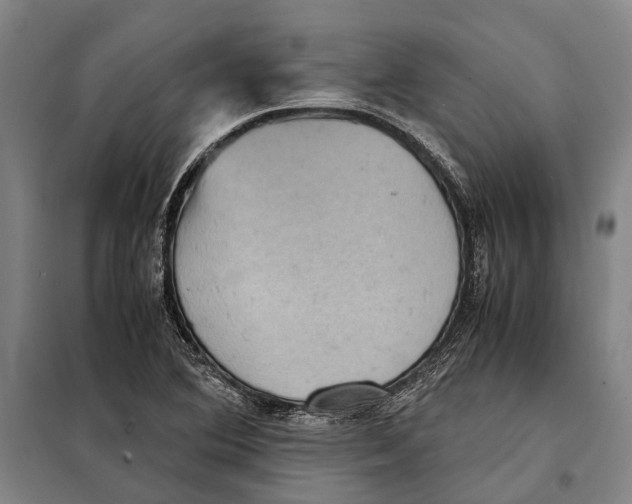 X0000097921364200804041514