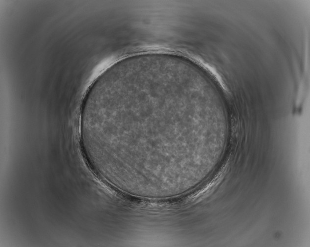 X0000097921365200804041514