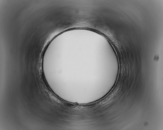 X0000097921366200804041514