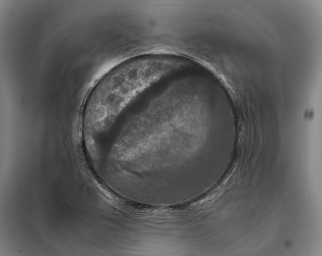 X0000097921367200804041514