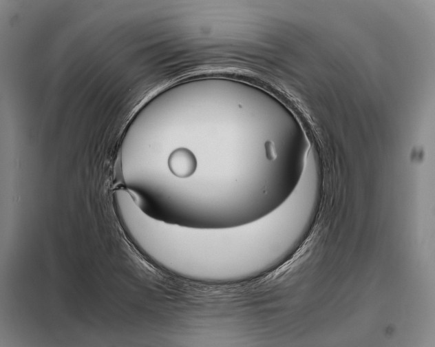 X0000097921369200804041514