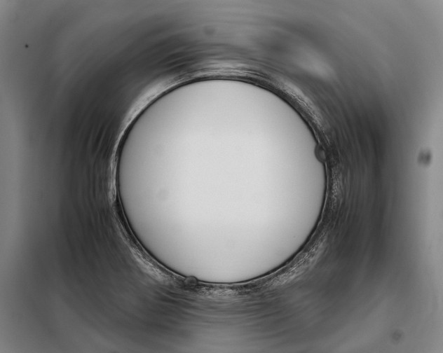 X0000097921370200804041514