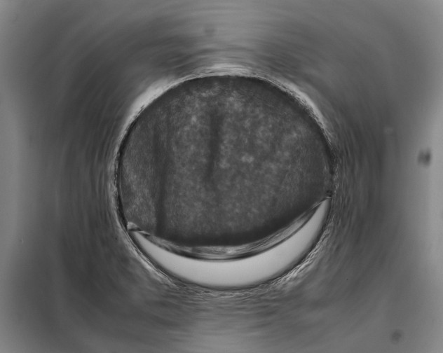 X0000097921373200804041514