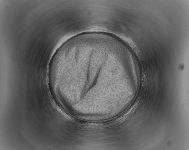 X0000097921374200804041514