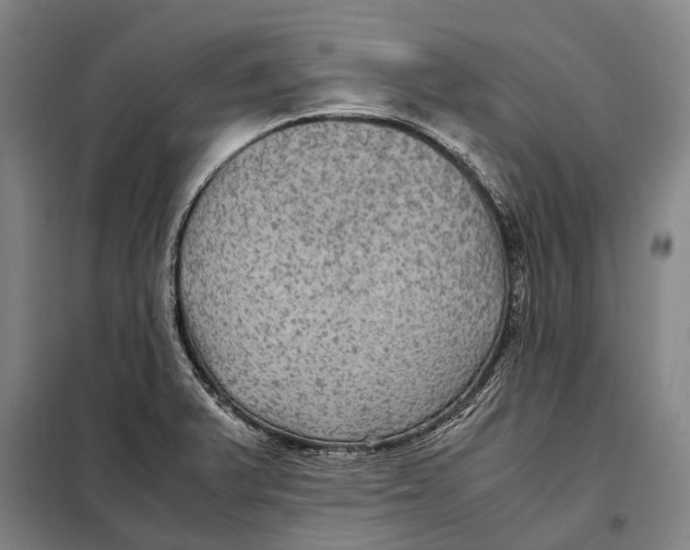 X0000097921375200804041514