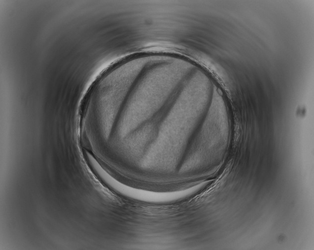 X0000097921376200804041514