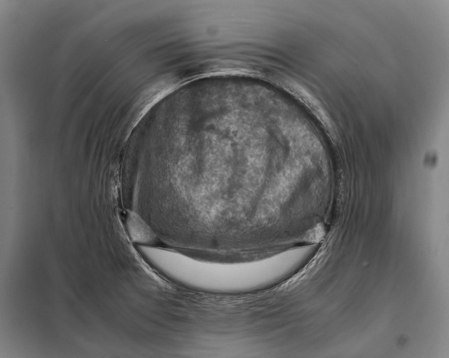 X0000097921377200804041514