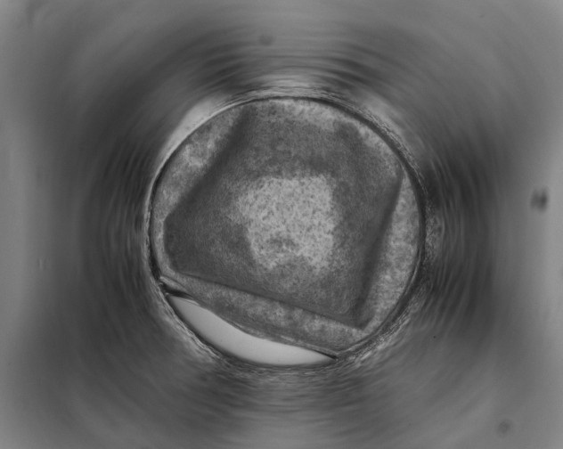 X0000097921378200804041514