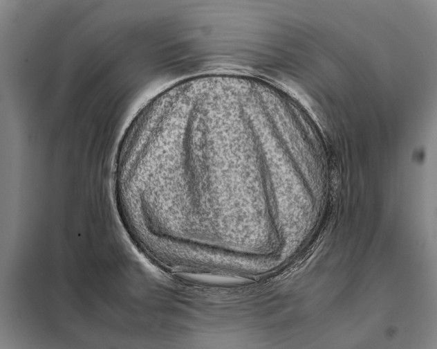 X0000097921379200804041514