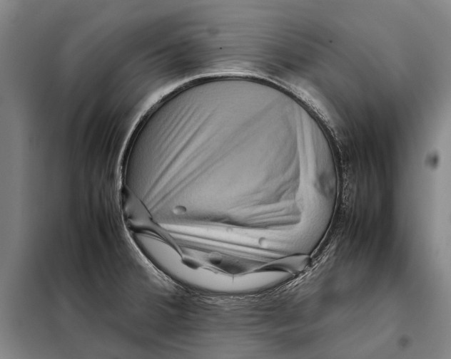 X0000097921380200804041514