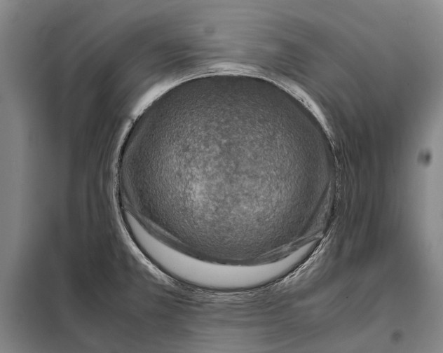 X0000097921381200804041514