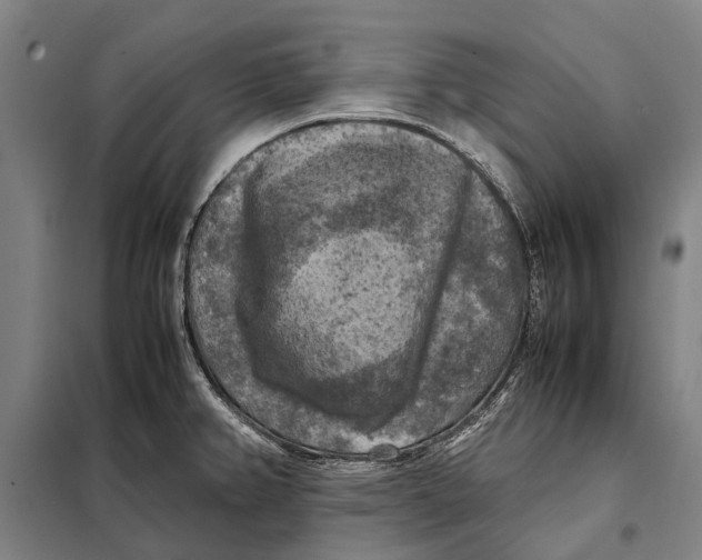 X0000097921382200804041514