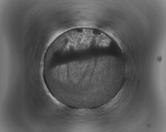 X0000097921383200804041514