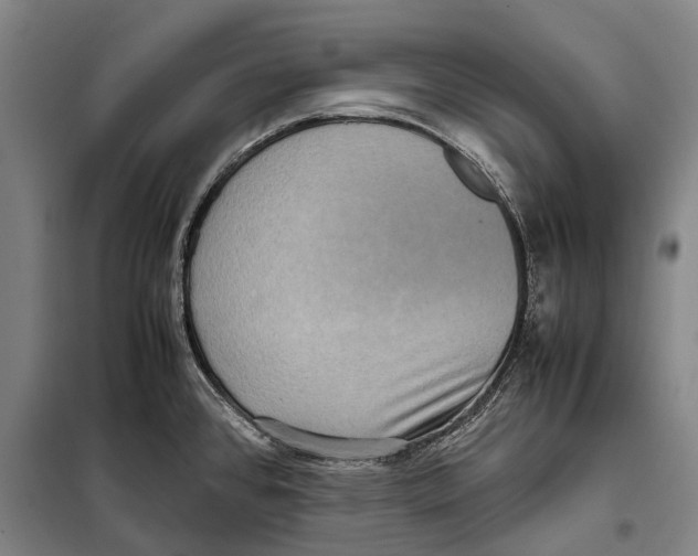 X0000097921384200804041514