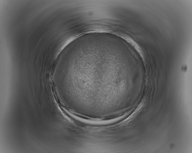 X0000097921385200804041514