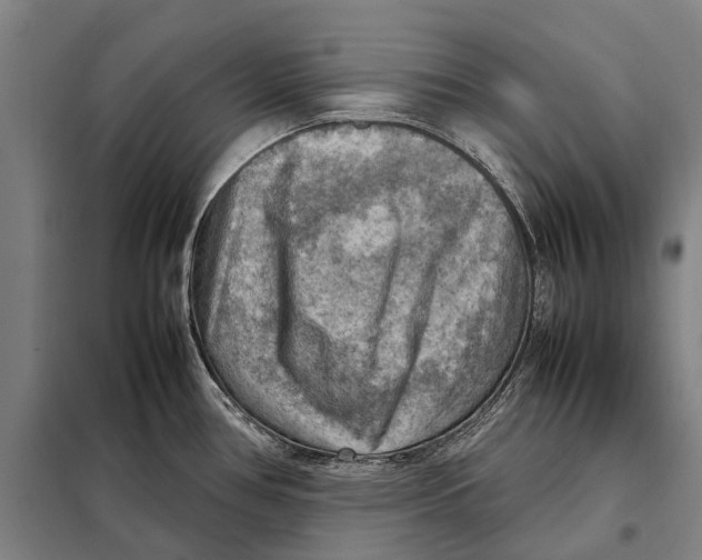 X0000097921386200804041514