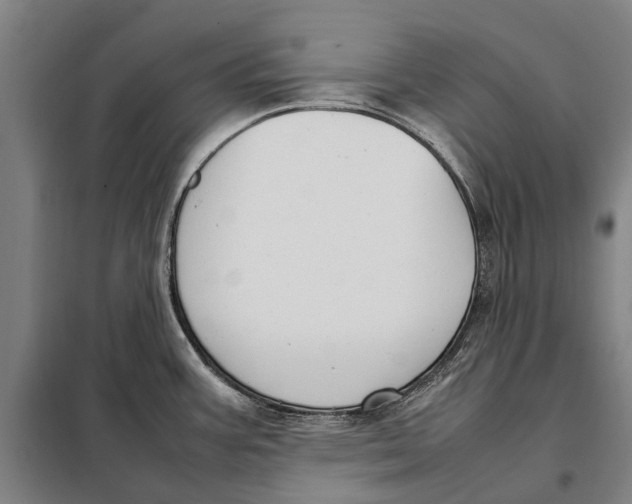 X0000097921387200804041514