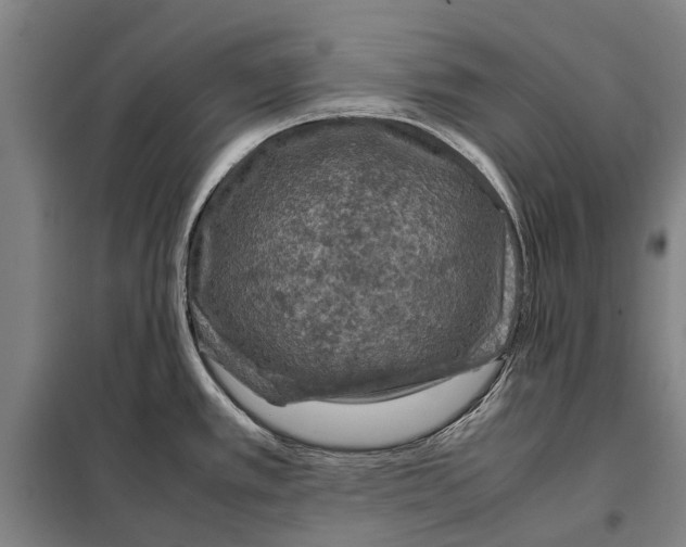 X0000097921389200804041514