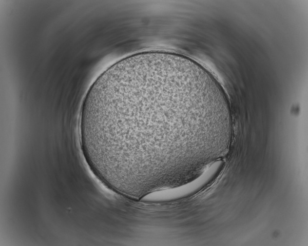 X0000097921391200804041514