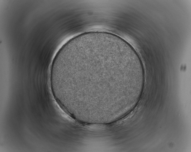 X0000097921392200804041514