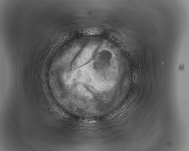 X0000097921393200804041513