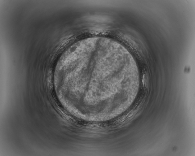 X0000097921396200804041513