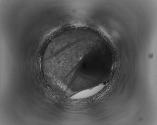 X0000097921398200804041513