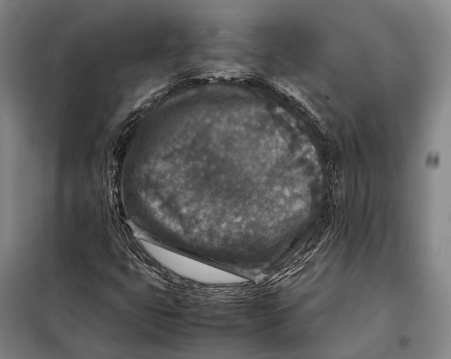 X0000097921399200804041513