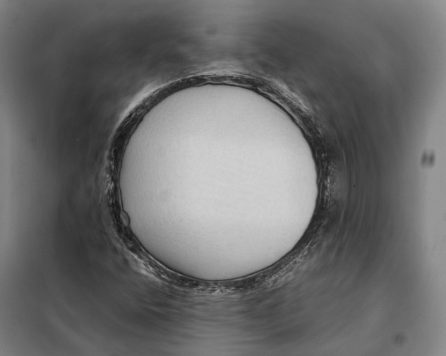 X0000097921400200804041513