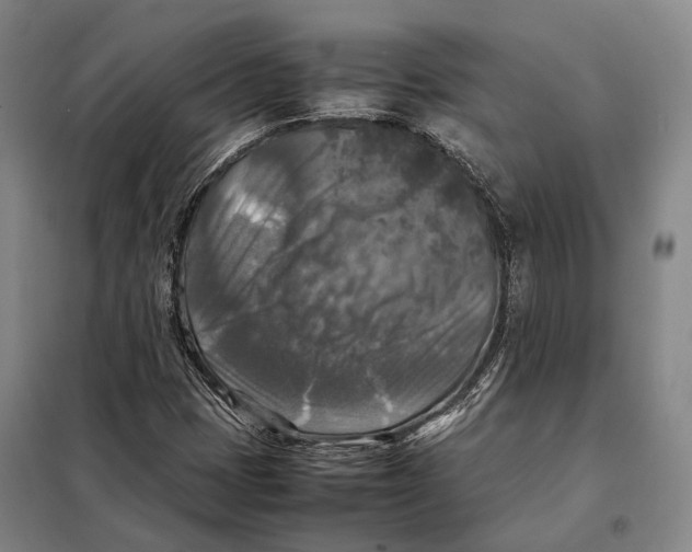 X0000097921401200804041513