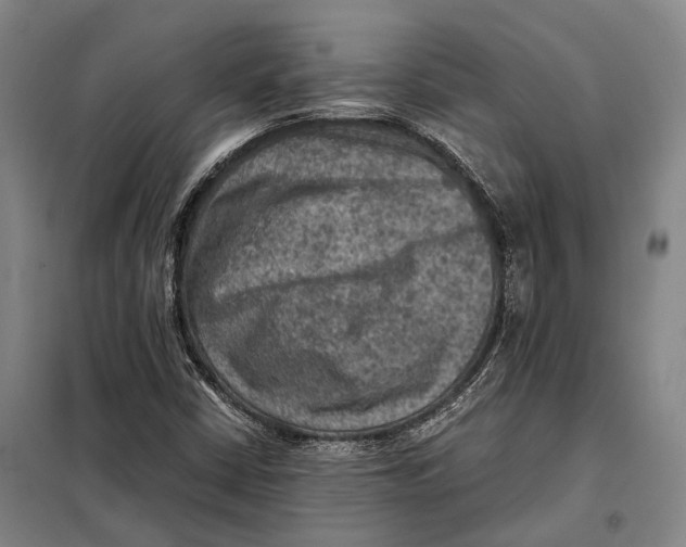 X0000097921402200804041513