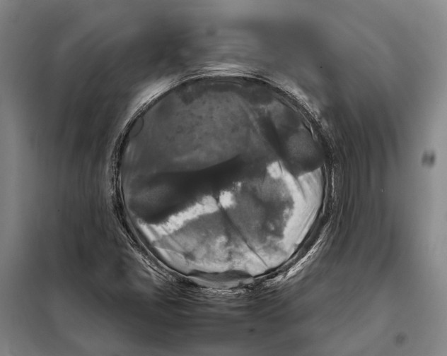 X0000097921405200804041513