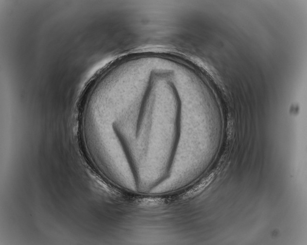 X0000097921406200804041513