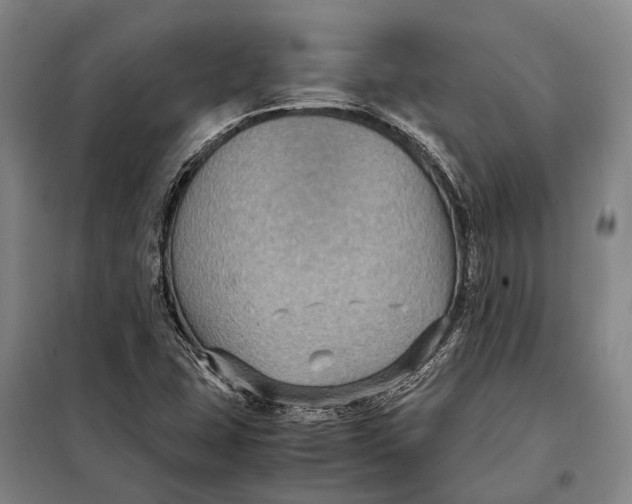 X0000097921407200804041513