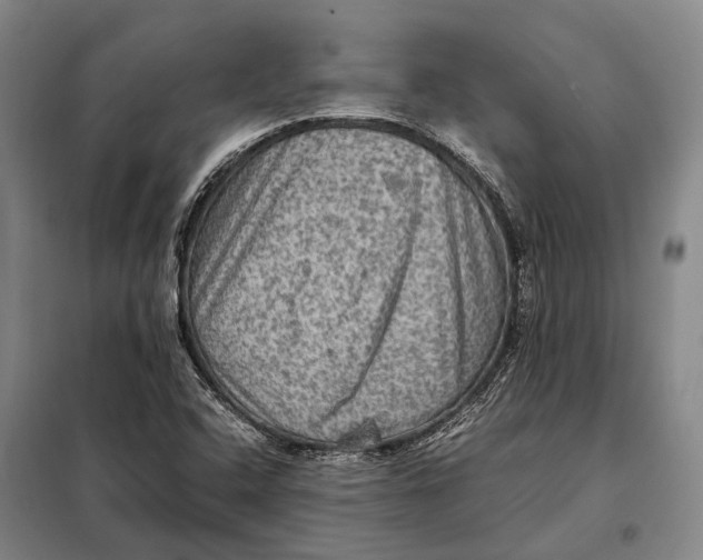 X0000097921408200804041513