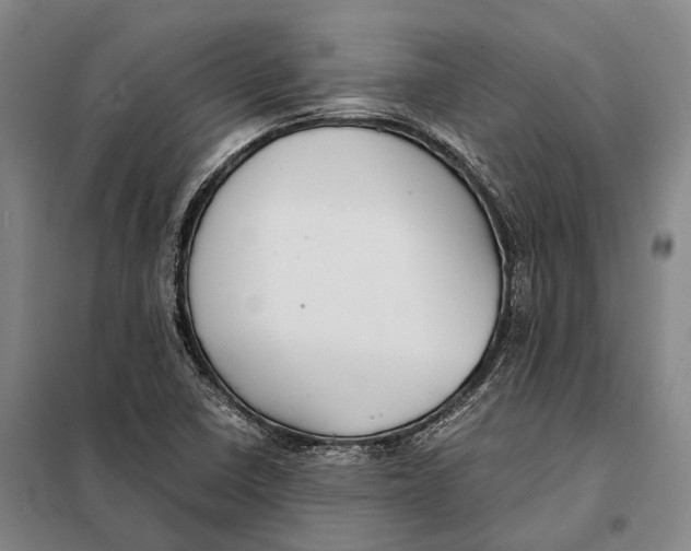 X0000097921410200804041513