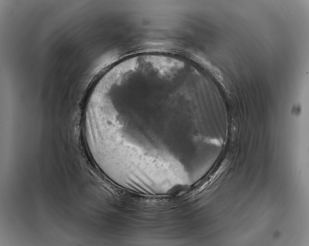 X0000097921411200804041513