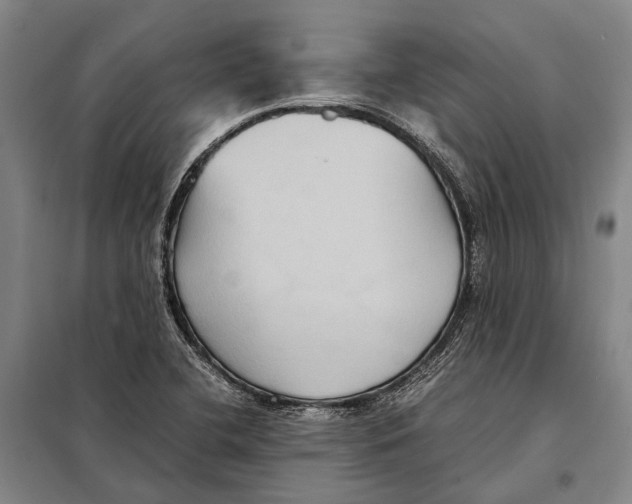 X0000097921412200804041513