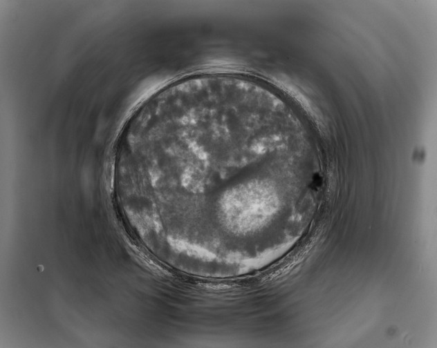 X0000097921413200804041513